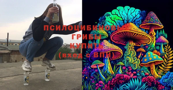 кокс Инта