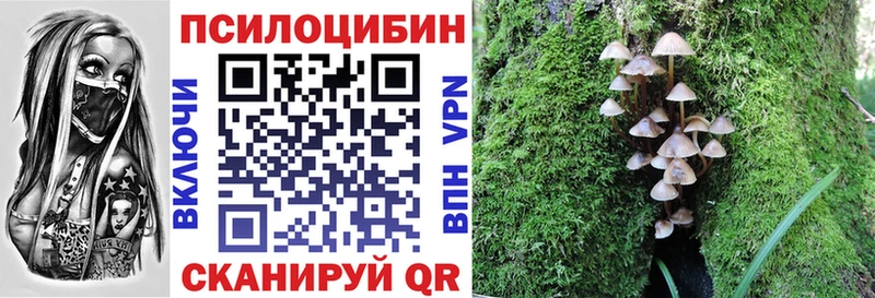 Галлюциногенные грибы Psilocybe  Купить где  Михайловка 